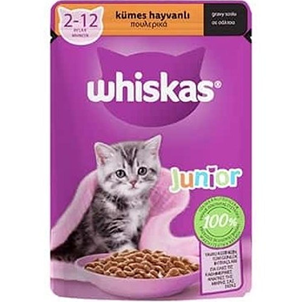 پوچ گربه جونیور برند ویسکاس whiskas طعم مرغ وزن 85 گرمی