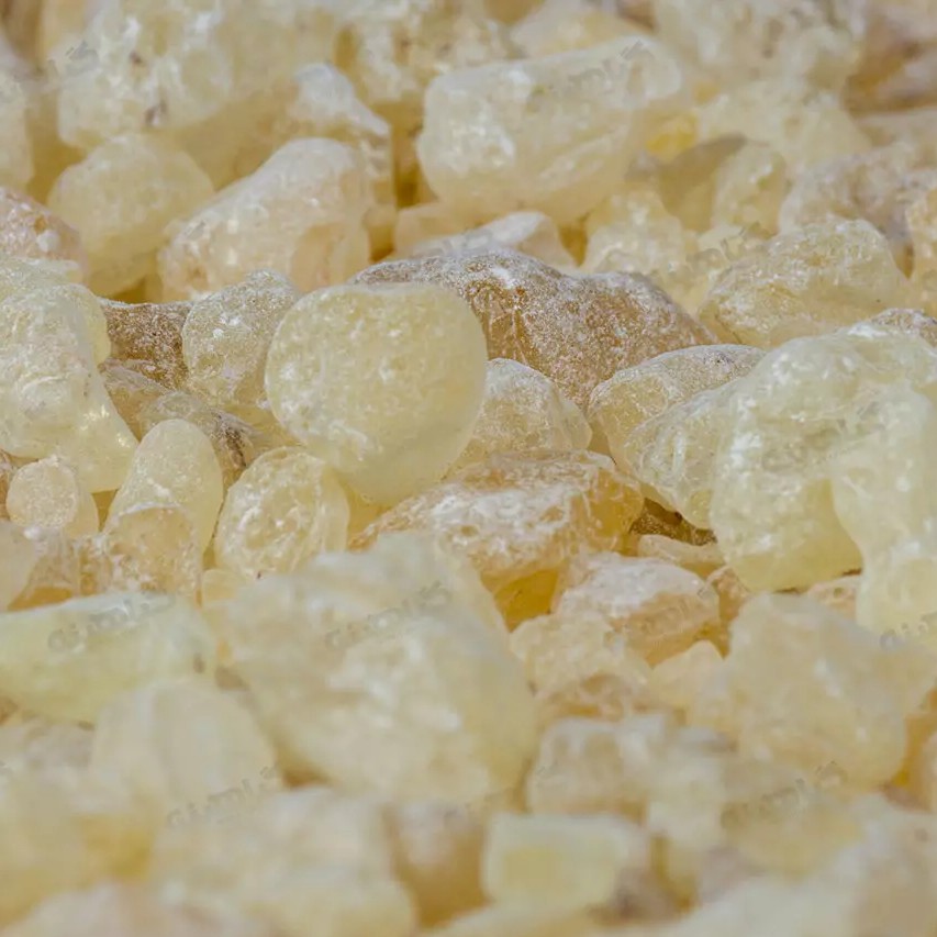 مصطکی 100 گرمی