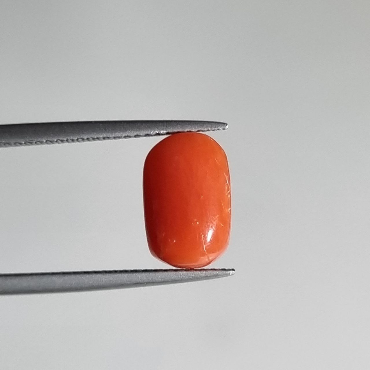 سنگ مرجان سرخ طبیعی مدیترانه 7874