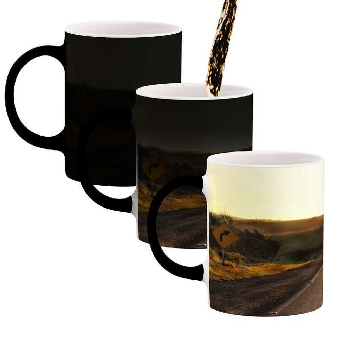 ماگ حرارتی کاکتی طرح فانتزی مدل mgh20561