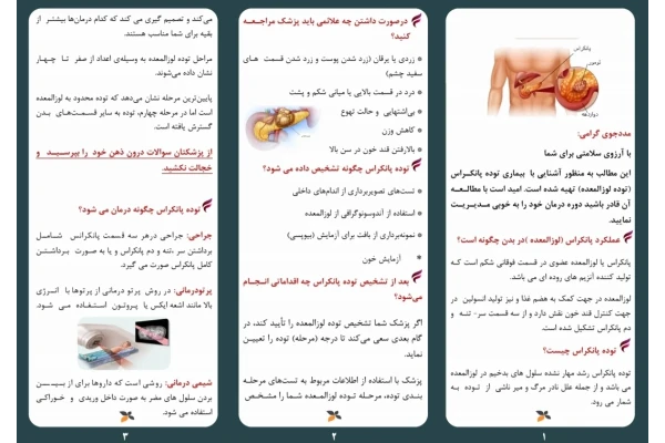 پمفلت آموزشی توده پانکراس - کتابخانه مجازی واتیکان