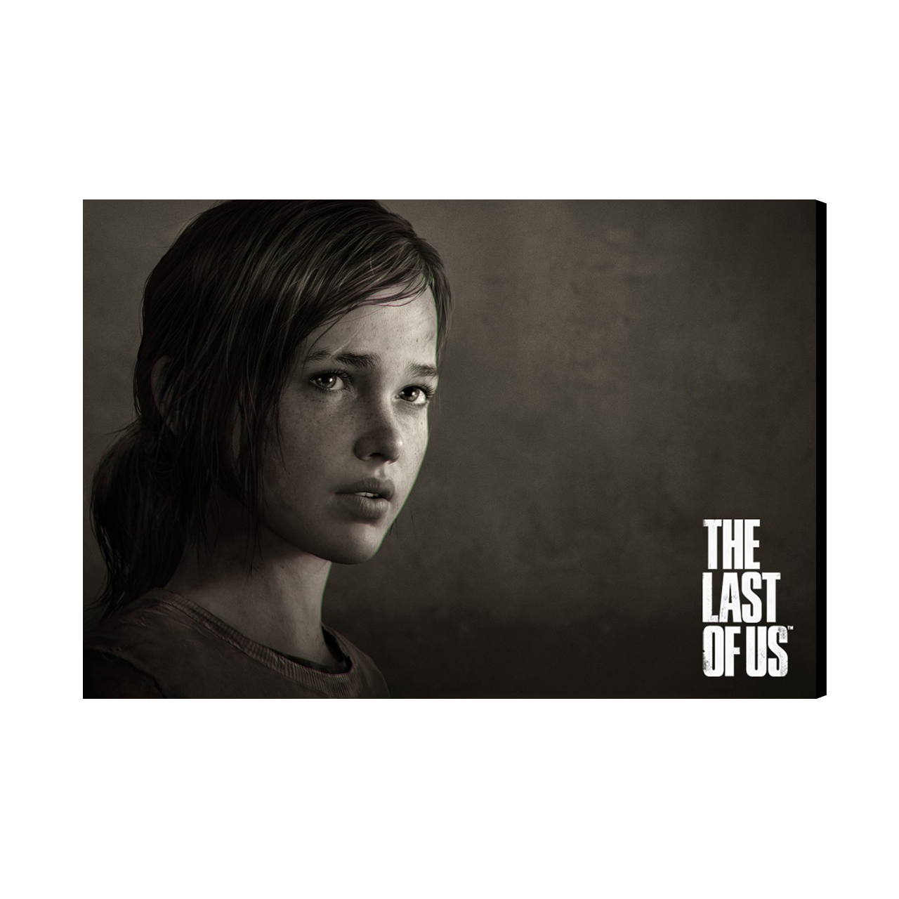 تابلو شاسی طرح the last of us مدل As1242