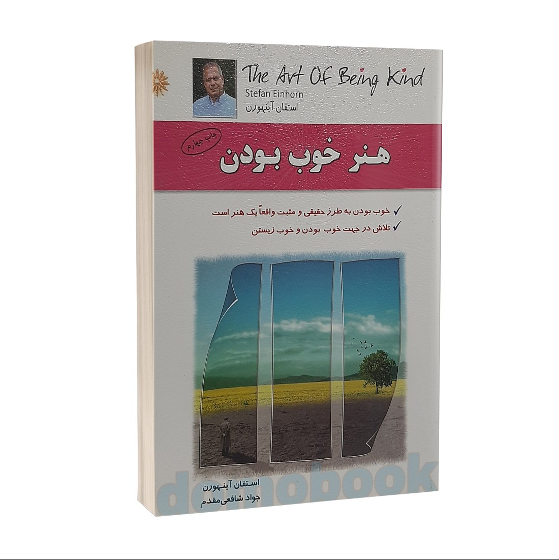 کتاب هنر خوب بودن اثر استفان آینهورن انتشارات سلیس