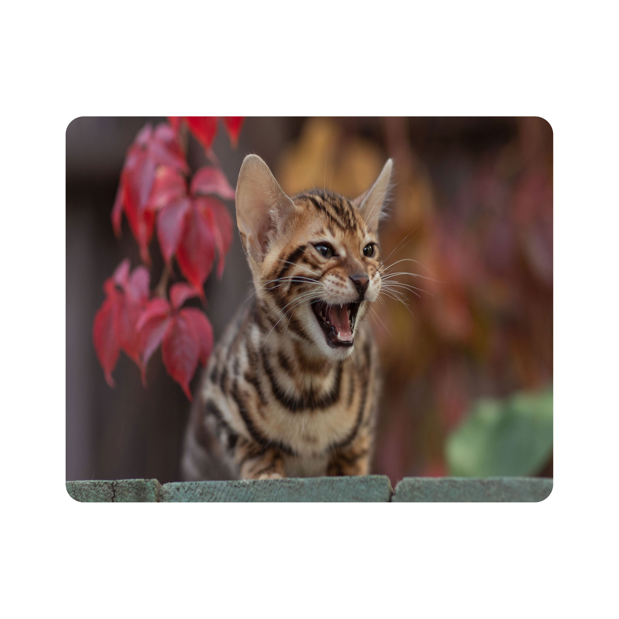 ماوس پد اطلس آبی طرح گربه مدل T7683