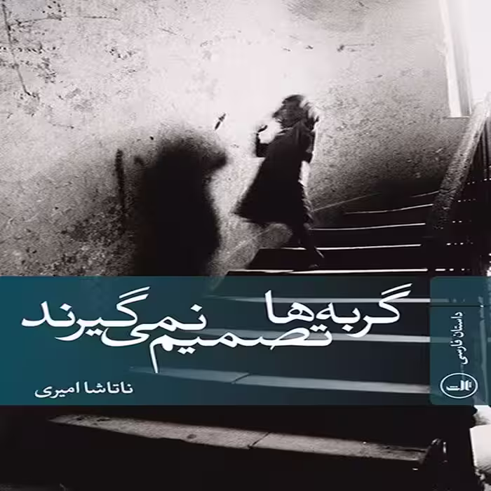 کتاب گربه ها تصمیم نمی گیرند اثر ناتاشا امیری نشر ثالث