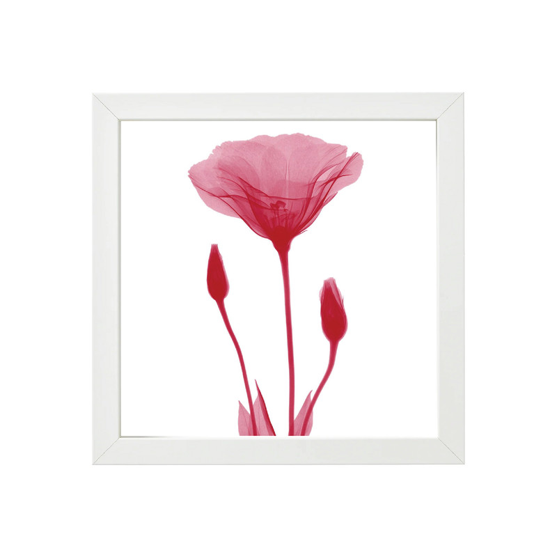 تابلو کد T-0305w | دنیای قاب