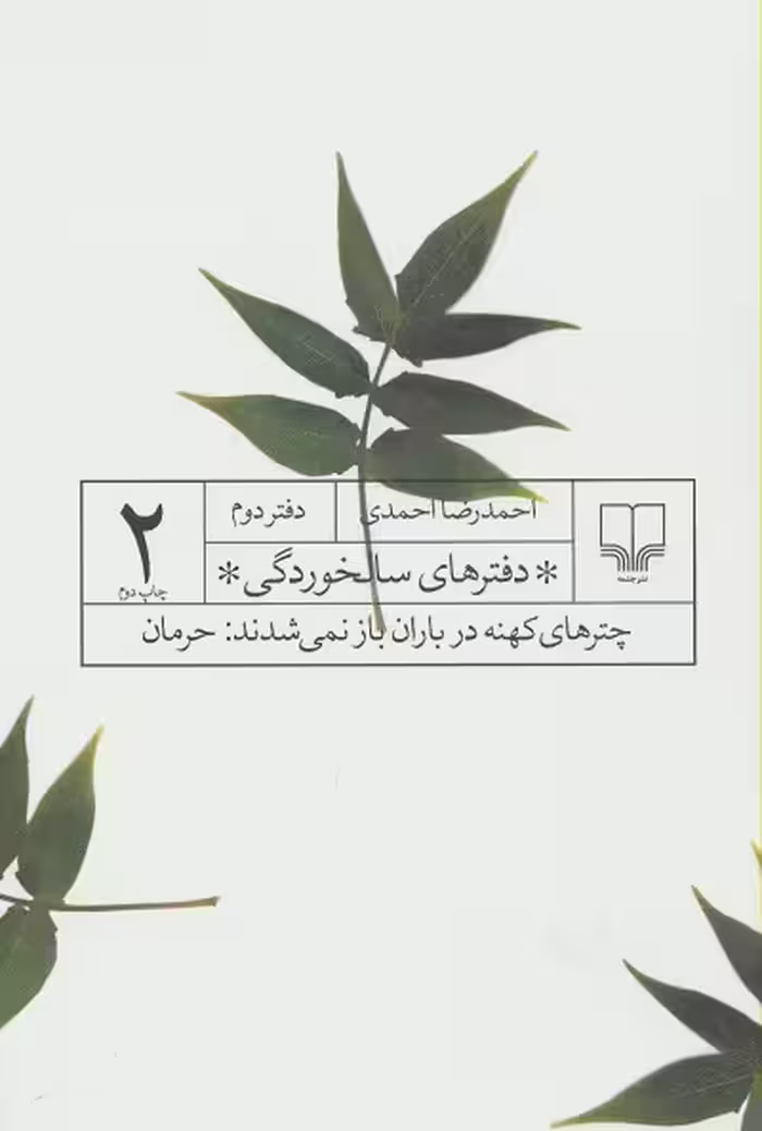 دفترهای سالخوردگی 2 (چترهای کهنه در باران باز نمی شدند:حرمان)