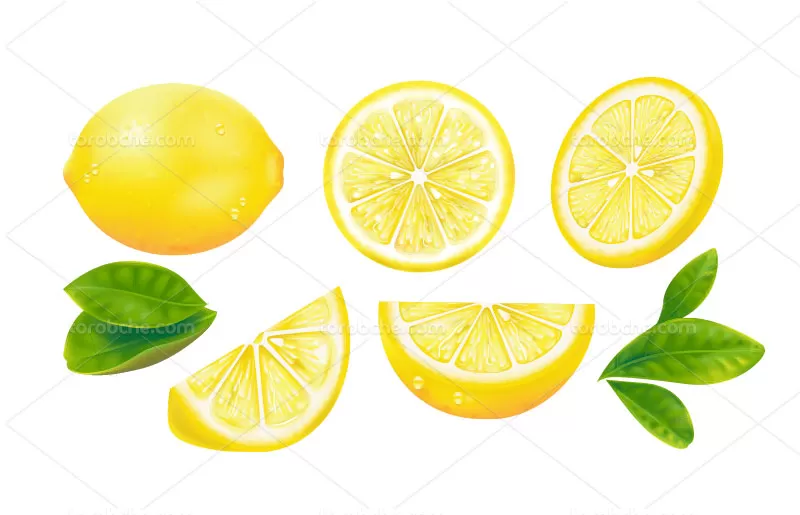وکتور لیمو با کیفیت | گرافیک با طعم تربچه