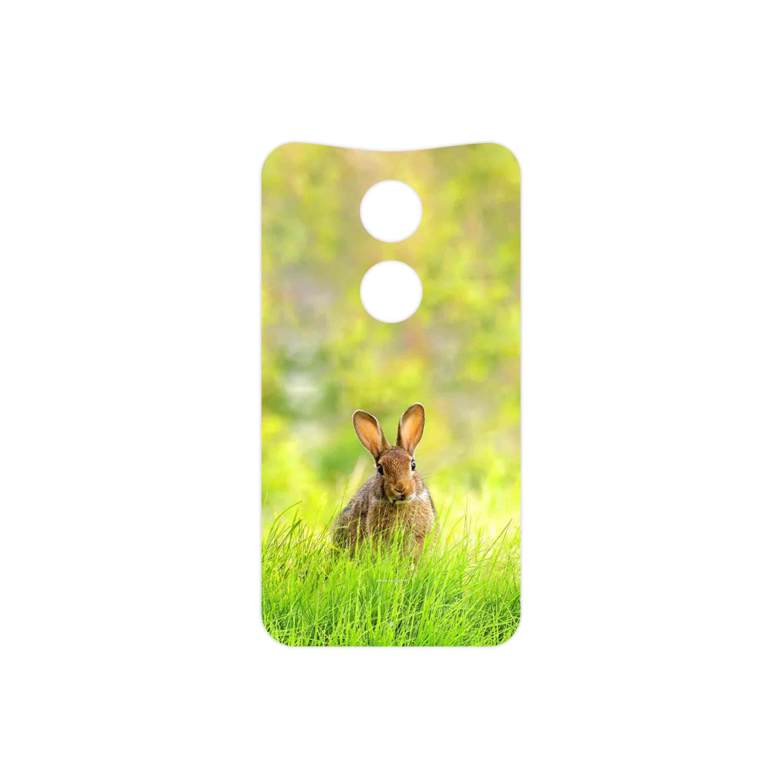 برچسب پوششی ماهوت مدل Rabbit مناسب برای گوشی موبایل موتورولا Moto X 2014