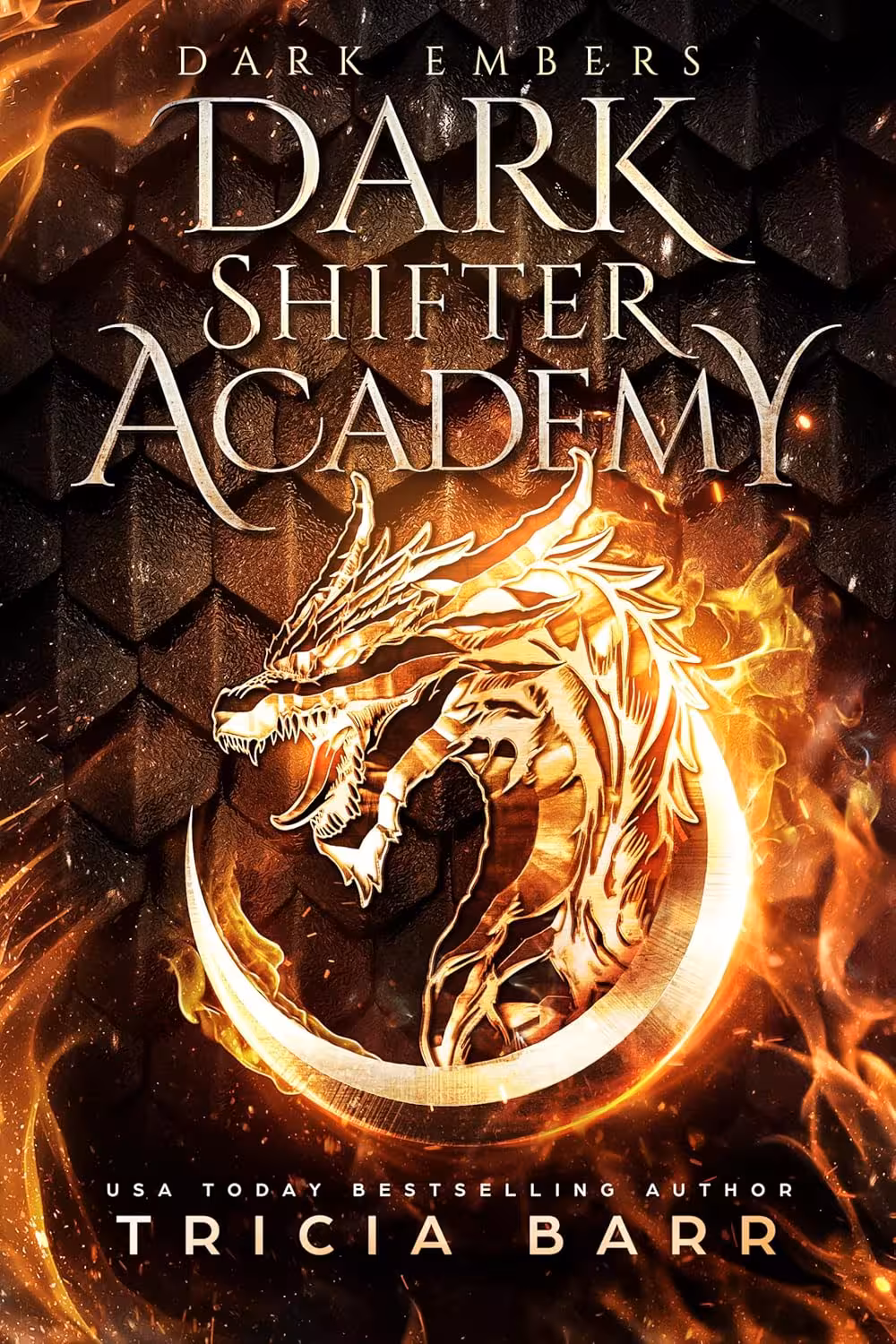Dark Embers (Dark Shifter Academy Book 2)