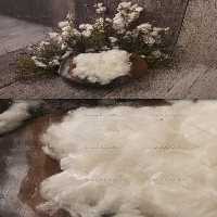 بکگراند عکاسی نوزاد چوبی | گرافیک با طعم تربچه