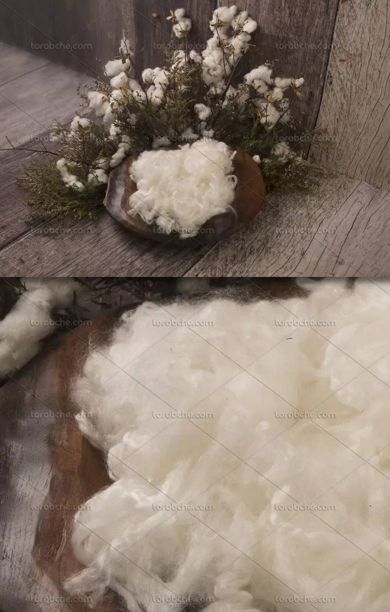 بکگراند عکاسی نوزاد چوبی | گرافیک با طعم تربچه