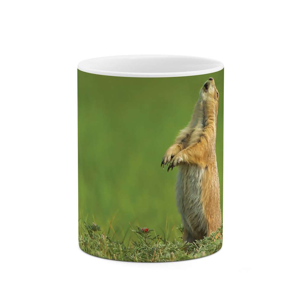 ماگ طرح حیوان مدل mgs07466