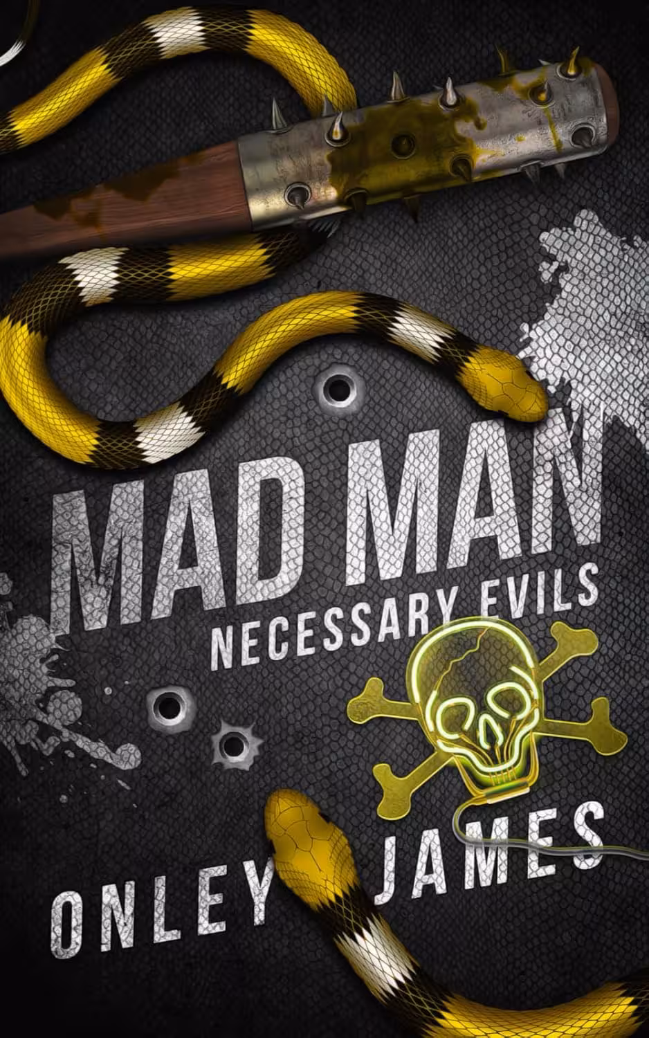 Mad Man (Necessary Evils Book 6)