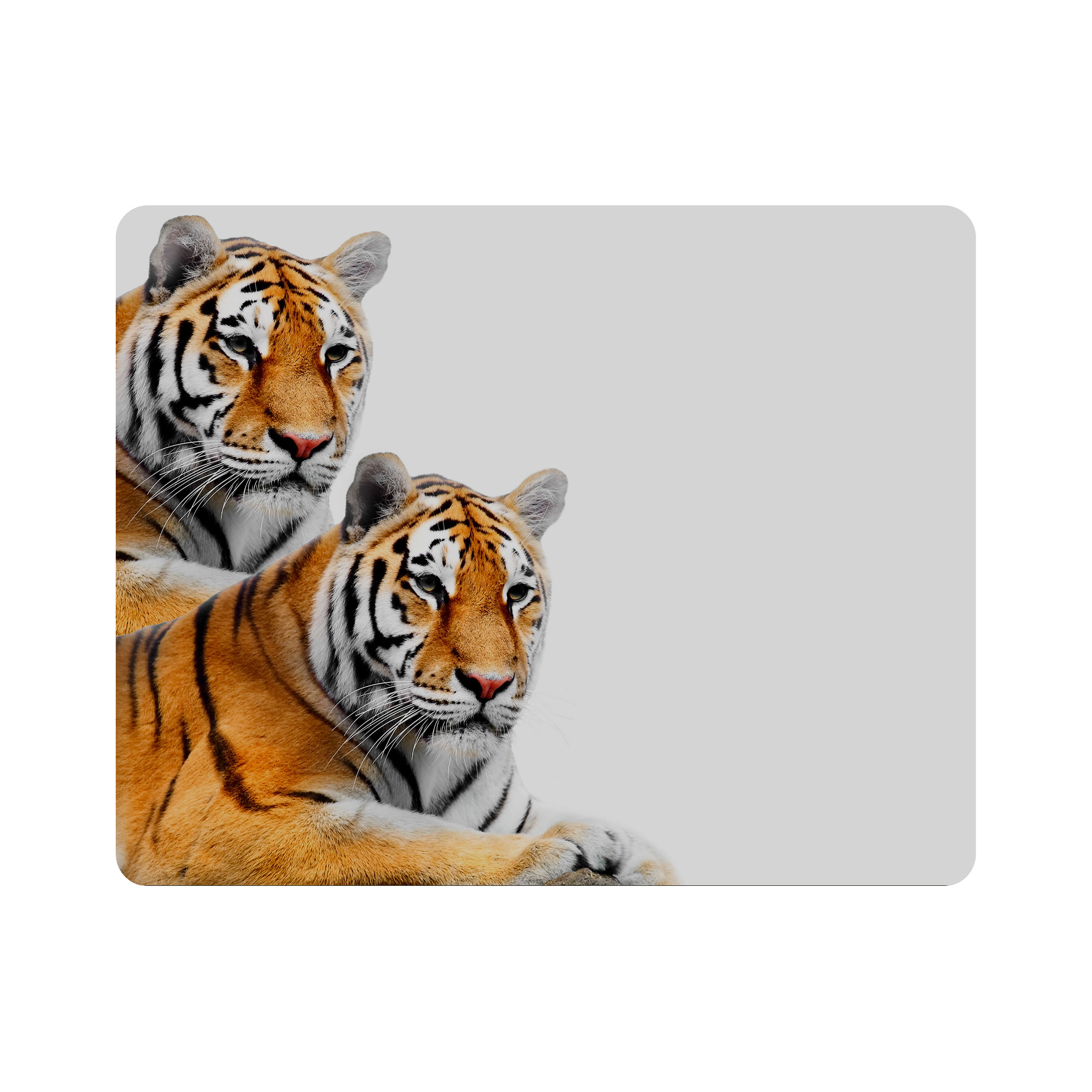 ماوس پد اطلس آبی طرح ببر مدل T2162