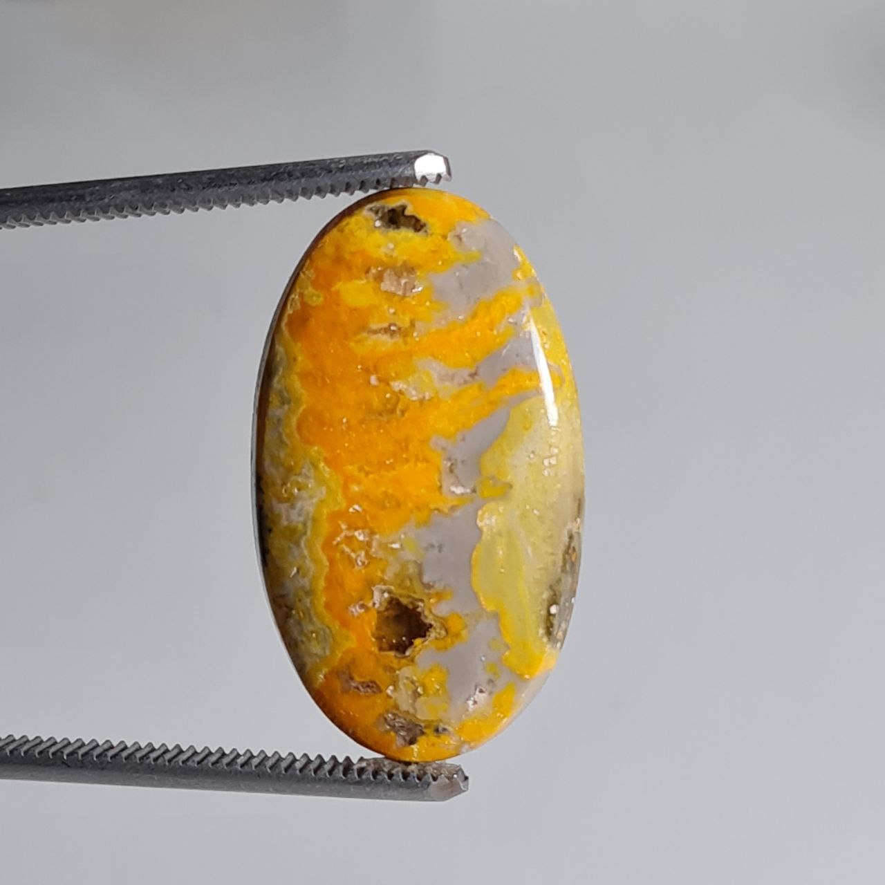 جاسپر زنبوری (بامبل بی جاسپر) شناسه 5981