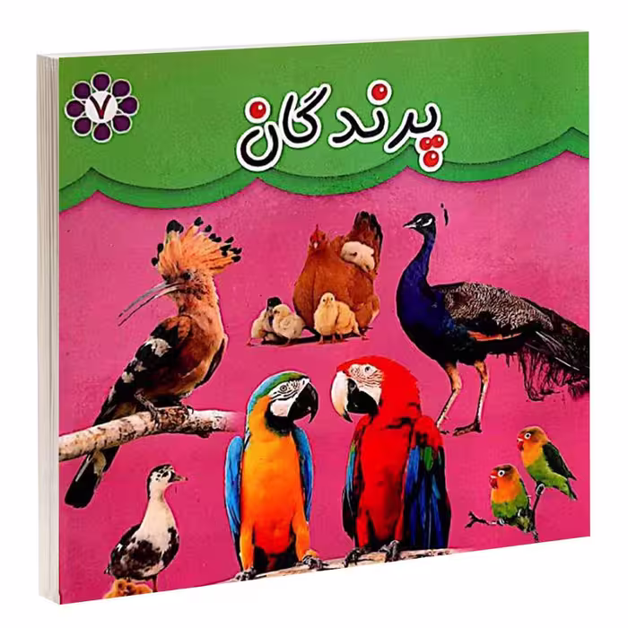 کتاب پرندگان اثر مهرناز علاءالدينی انتشارات گوهراندیشه