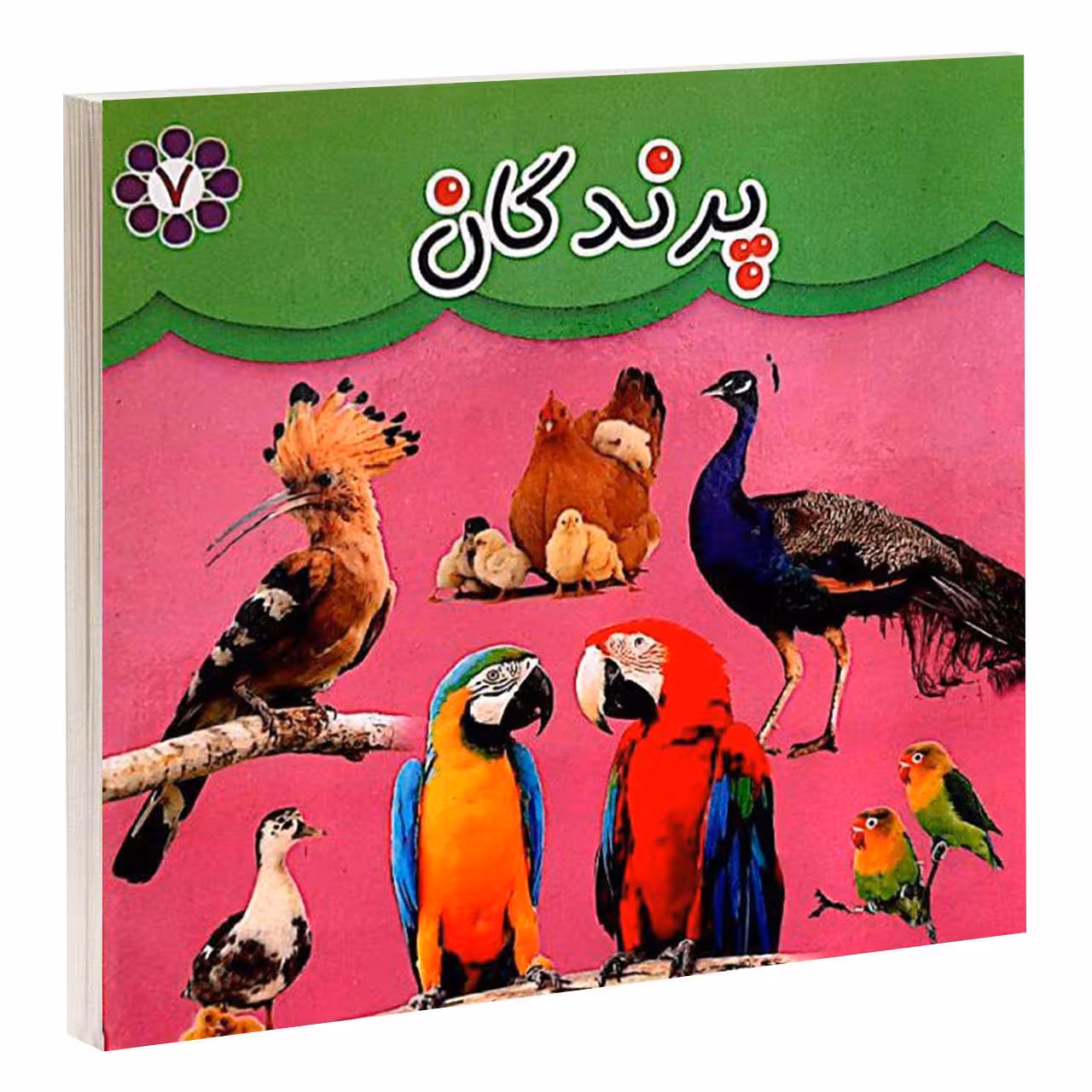کتاب پرندگان اثر مهرناز علاءالدينی انتشارات گوهراندیشه