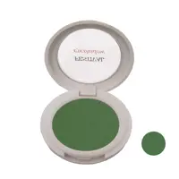  سایه چشم فستیوال شماره 16F