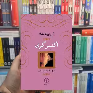 اگنس گری ان برونته نشر نی - بانک کتاب ماندگار-قیمت-خرید-کتاب-کمک-درسی-کنکور-دانشگاهی