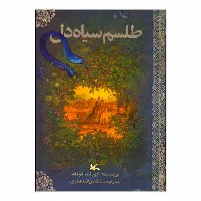 کتاب طلسم سیاه ‌دل اثر کورنلیا فونکه انتشارات کانون پرورش فکری کودکان و نوجوانان
