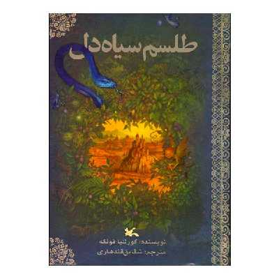 کتاب طلسم سیاه دل اثر کورنلیا فونکه انتشارات کانون پرورش فکری کودکان و نوجوانان