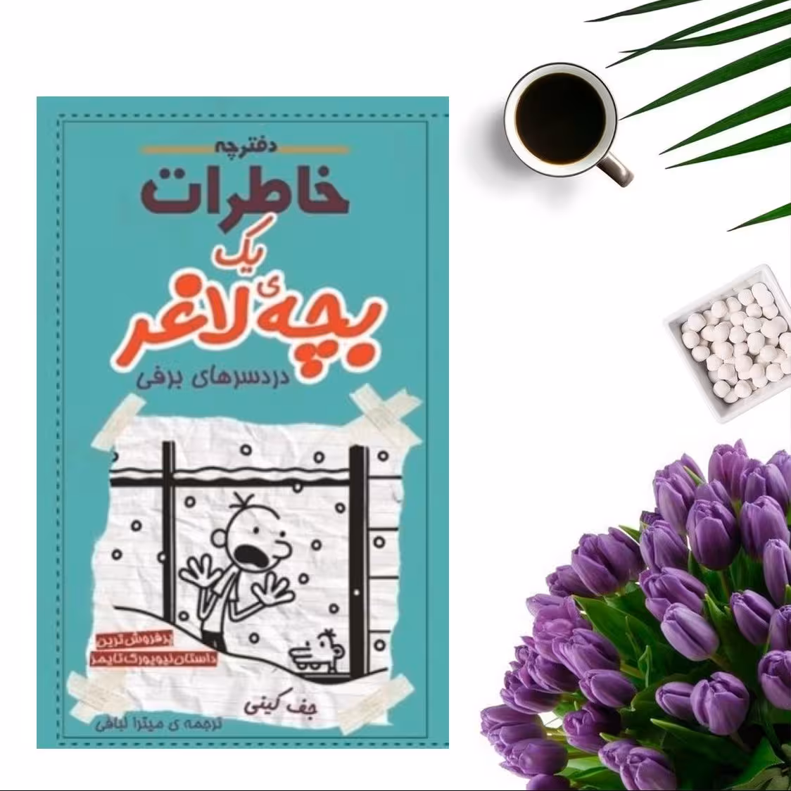 کتاب مجموعه خاطرات یک بچه لاغر (دردسرهای برفی) اثر جف کینی انتشارات شهر قصه