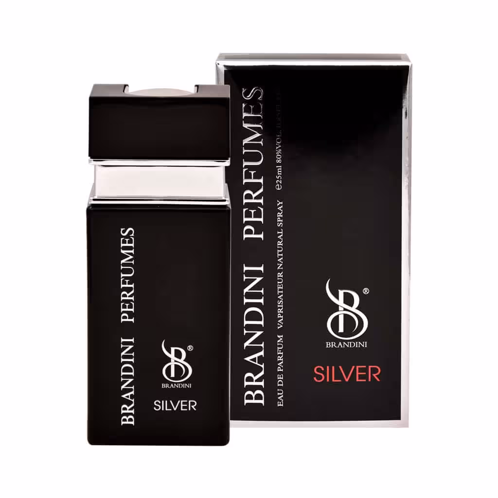 عطر جیبی مردانه Silver برندینی 25 میلی لیتر