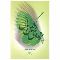 کتاب پرنده رنگین بال (ساز و کار) اثر علیرضا حافظی