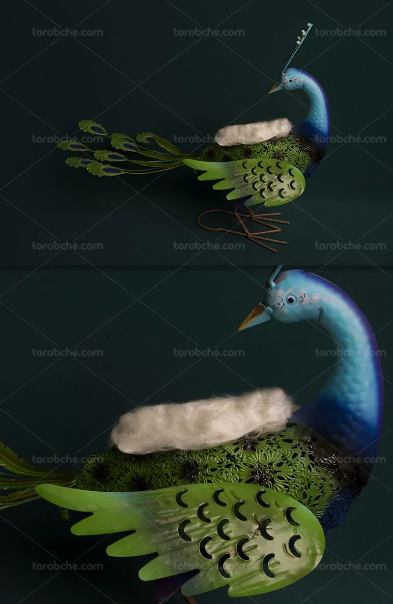 بکگراند عکاسی نوزاد طاووس | گرافیک با طعم تربچه