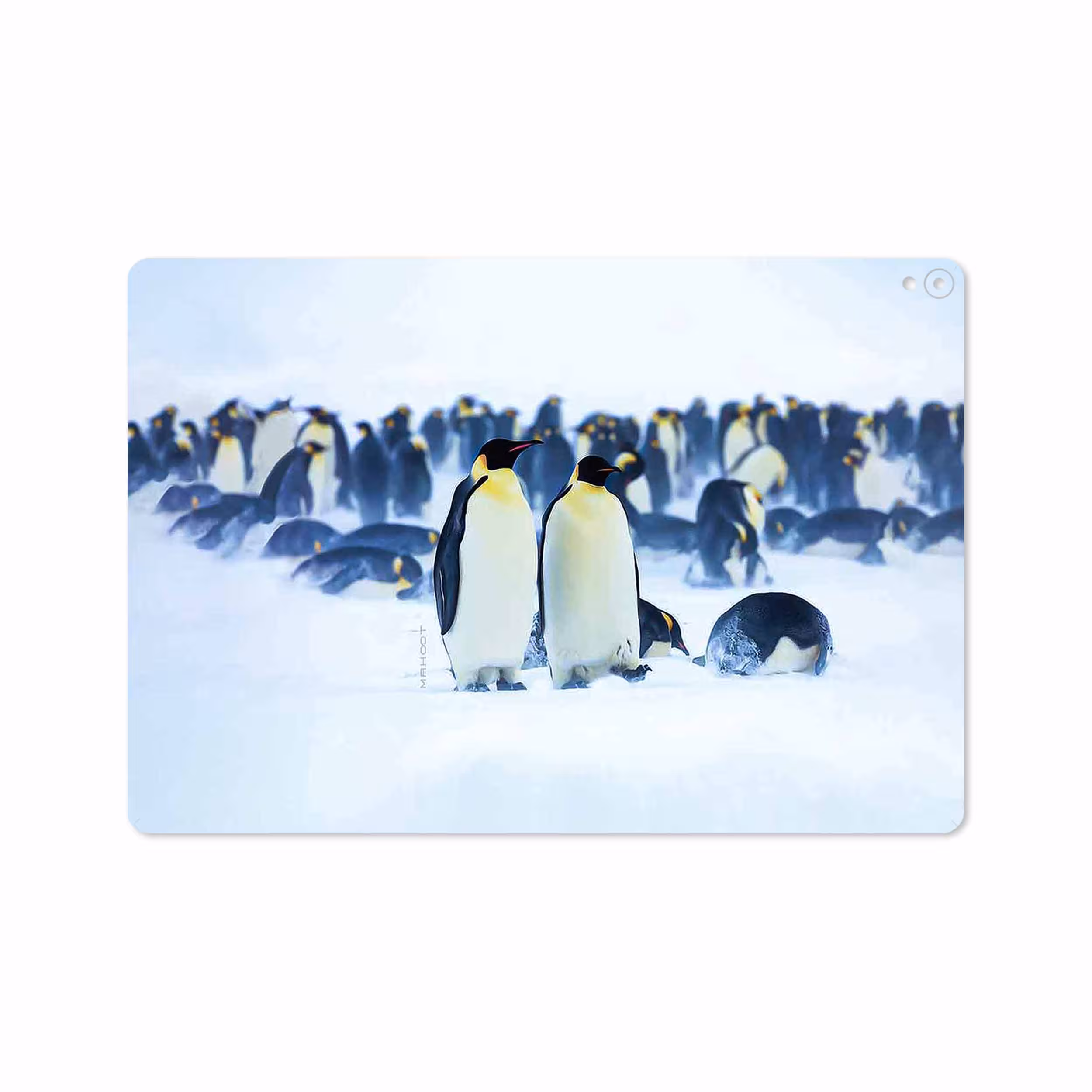 برچسب پوششی ماهوت مدل Penguin مناسب برای تبلت اپل iPad Pro 10.5 2017 A1709