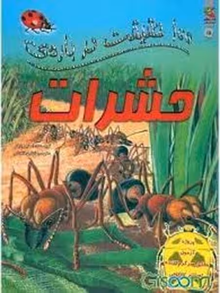 100 حقیقت درباره ی حشرات - کتاب‌فروشی کوچه کتاب