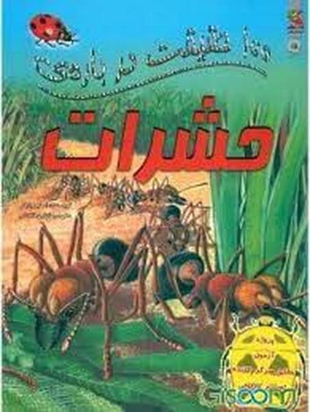 100 حقیقت درباره ی حشرات - کتابفروشی کوچه کتاب