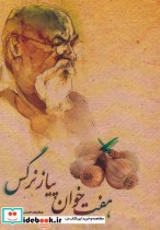 قیمت و خرید کتاب هفت خوان پیاز نرگس اثر محمدحسن جواهری | ایده بوک