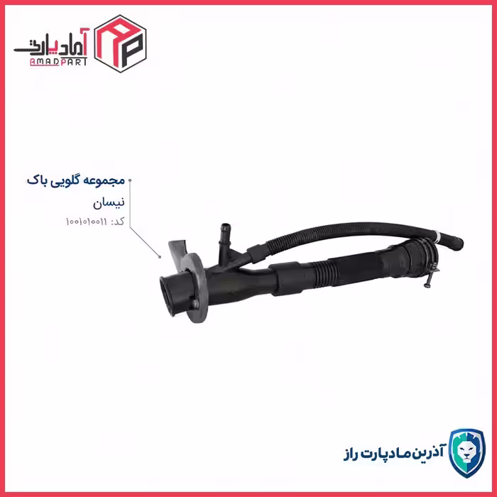 مجموعه گلویی باک نیسان