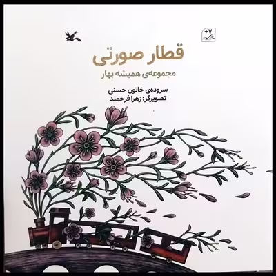 کتاب قطار صورتی اثر خاتون حسنی انتشارات کانون پرورش فکری کودکان و نوجوانان
