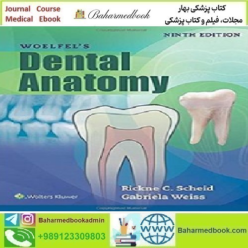 Woelfels Dental Anatomy 2017 TRUE PDF price 1€ - کتاب پزشکی بهار