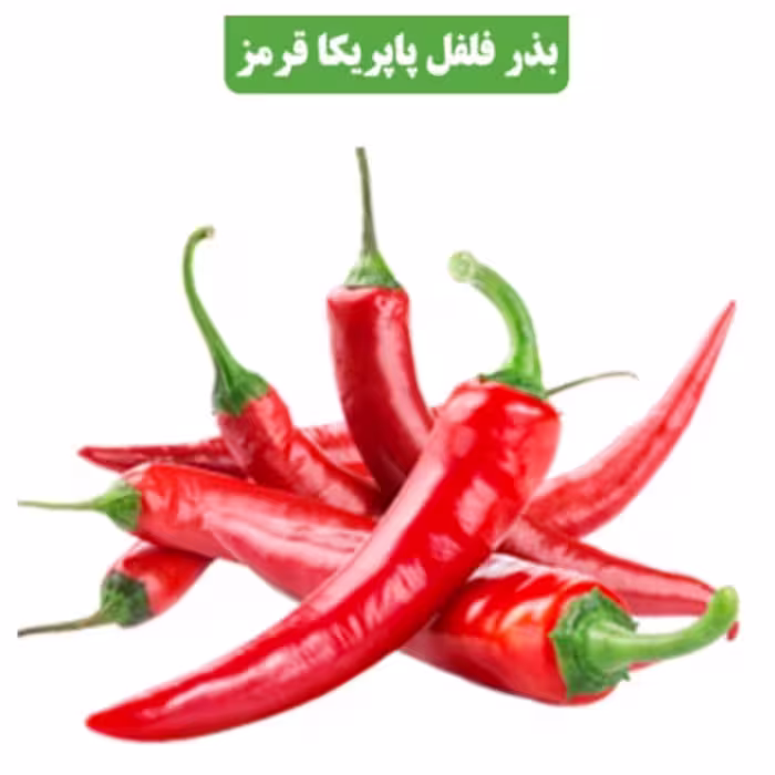 بذرفلفل پاپریکا قرمز عطاربانو 