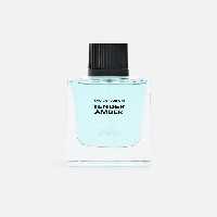عطر مردانه زارا TENDER AMBER EDP 100 ML | تهران زارا TehranZara