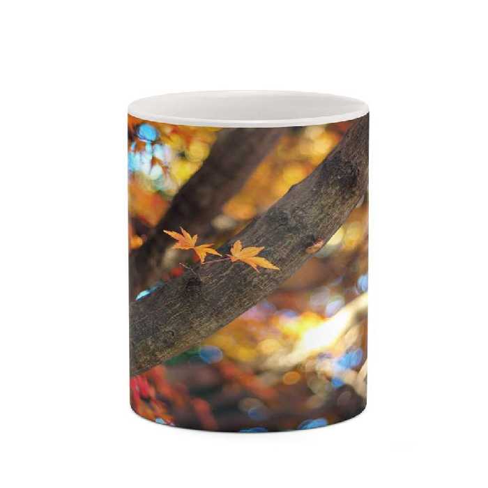 ماگ کاکتی طرح پاییز مدل mgh19328