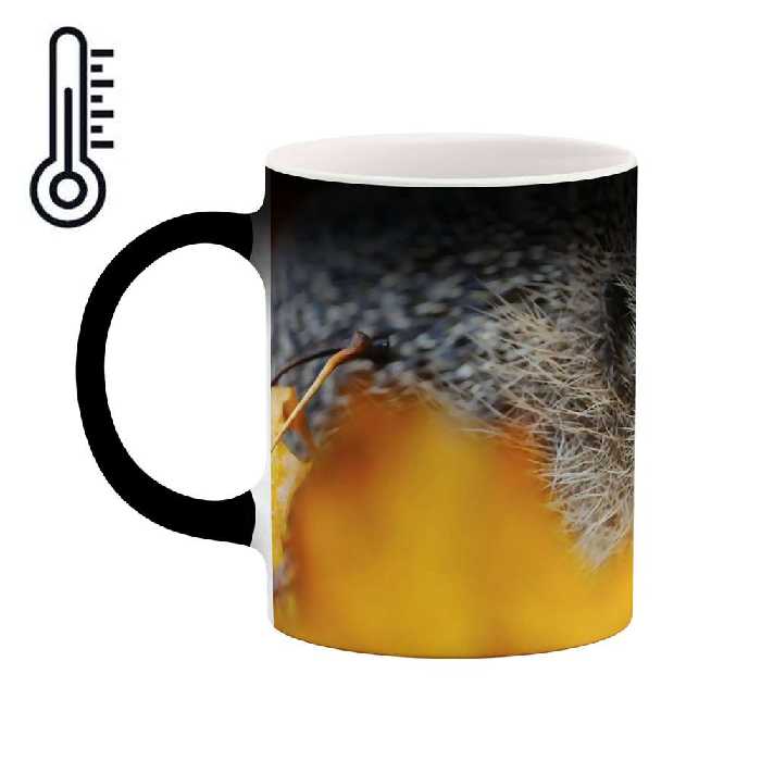 ماگ حرارتی طرح جوجه تیغی مدل mgph01521