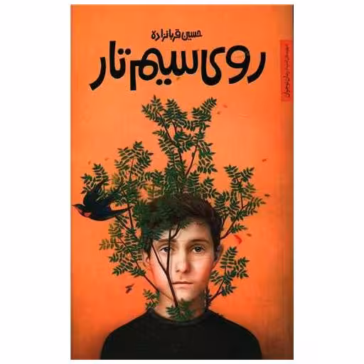 کتاب رویای سیم تار اثر حسین قربانزاده