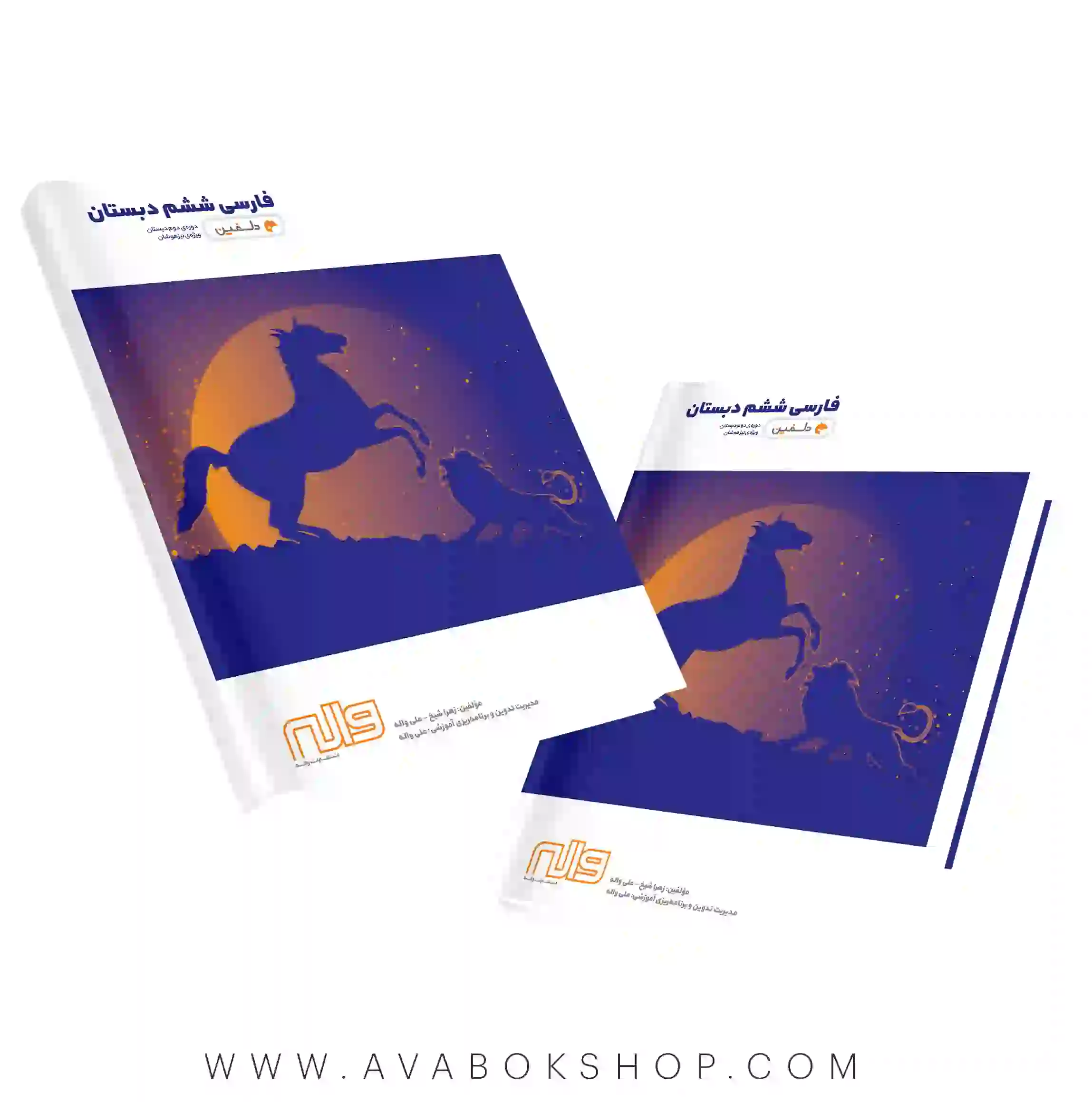 کتاب تیزهوشان فارسی ششم دبستان دلفین واله