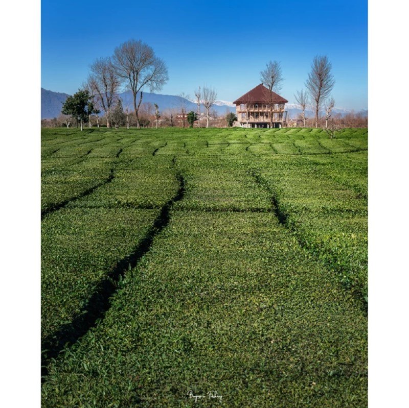 	 تابلو شاسی کد benpics-0032 (ابعاد 50x60 - شاسی 8 میل-کاغذ سیلک-اصالت تصویر)