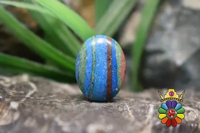 کالسلیکا رنگین کمانی