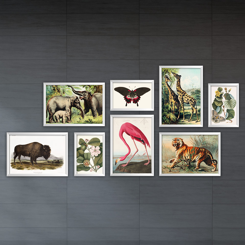 تابلو پلاتین کد P006-Nature مجموعه 8 عددی