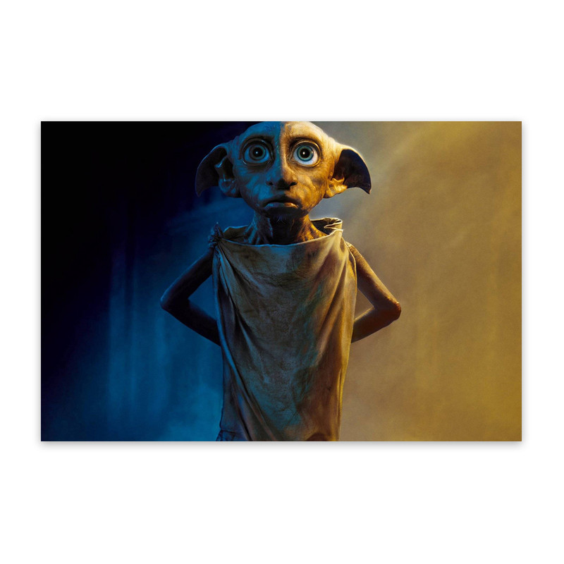 تابلو شاسی طرح هری پاتر مدل BS0007 | دنیای قاب