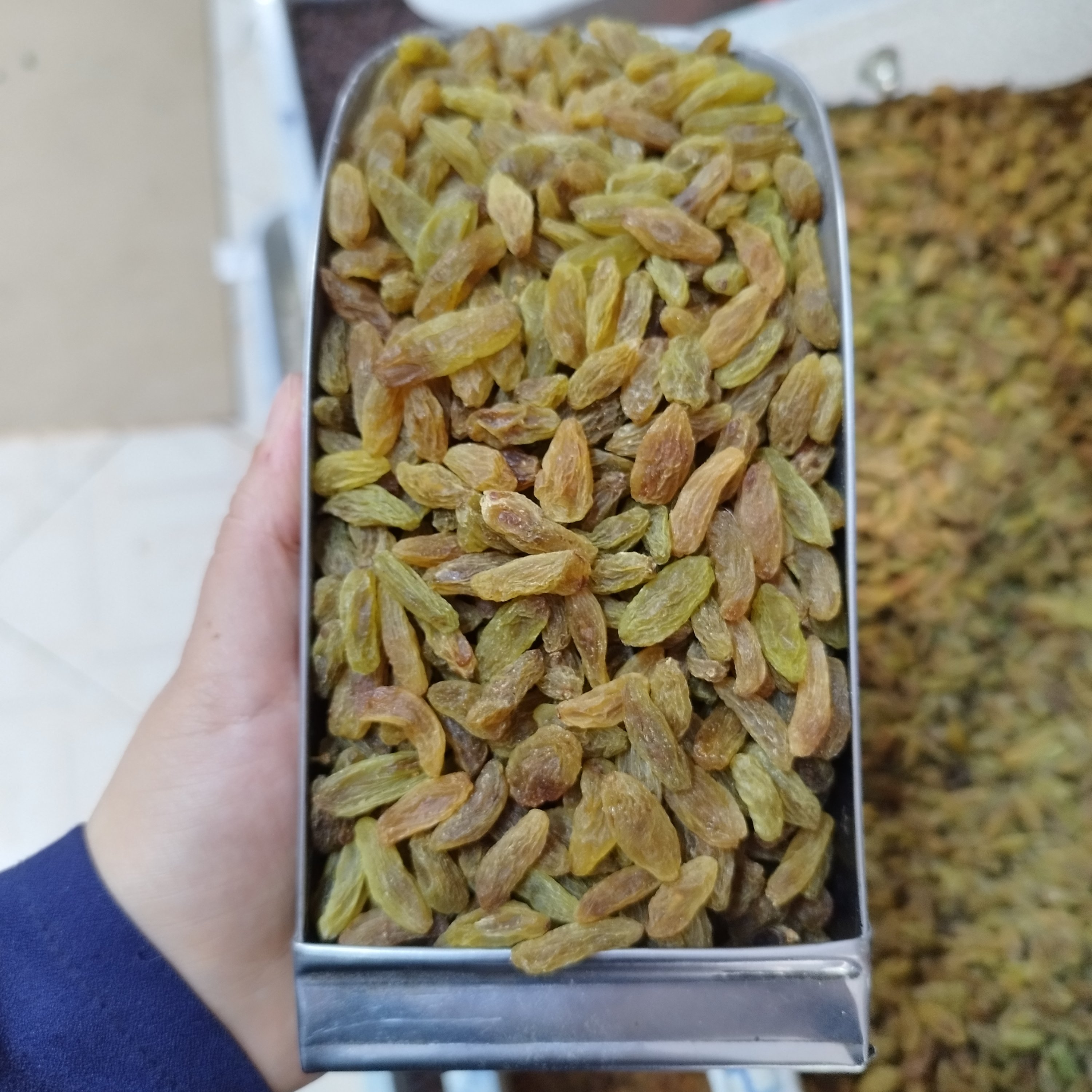 کشمش سبز قلمی لوکس کاشمر نرم تازه 1403(نیم کیلو) بدون هسته