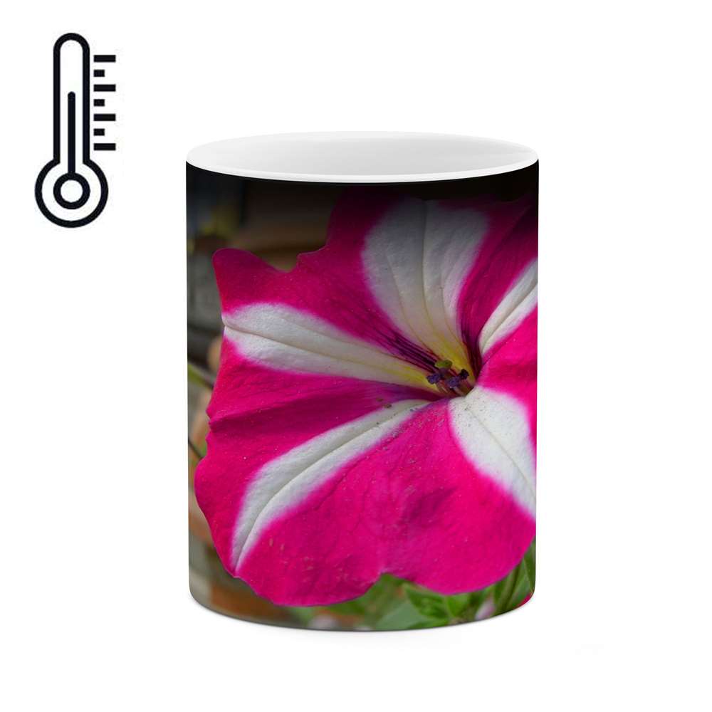 ماگ حرارتی طرح گل مدل mgh10815