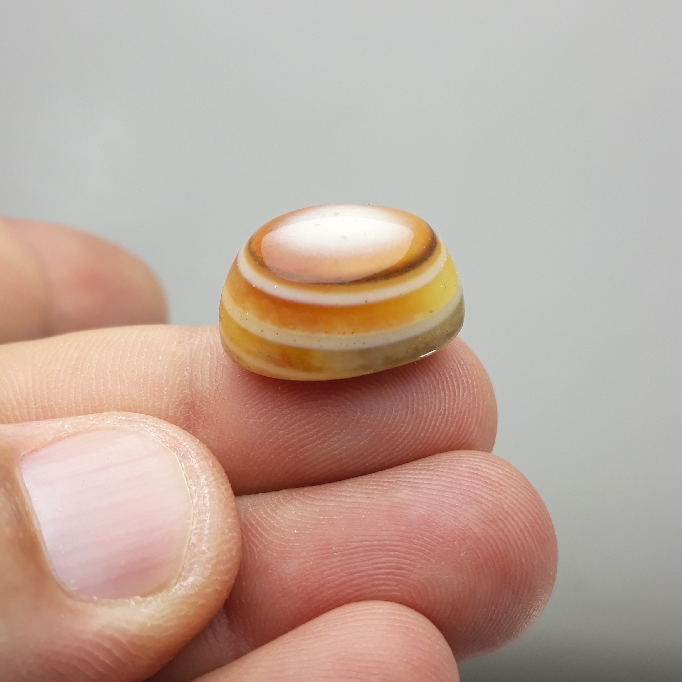 نگین باباقوری سه پوست معدنی و زیبا